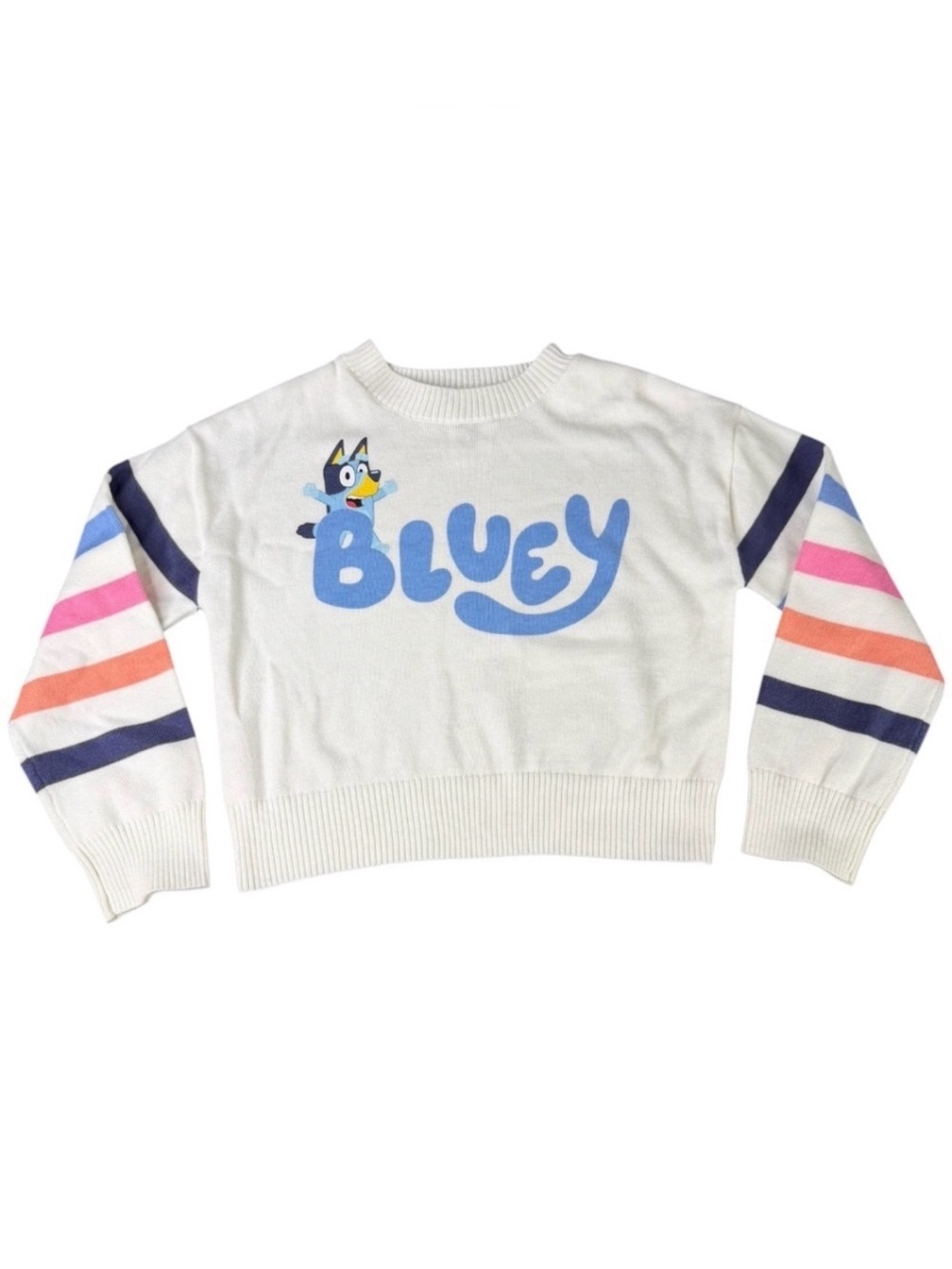 Bluey Girls Graphic Knit Sweater Size 6/6X